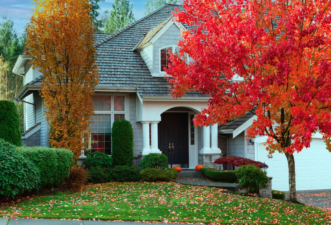 Fall Prevention:  Safety Tips for a Secure Home this Autumn